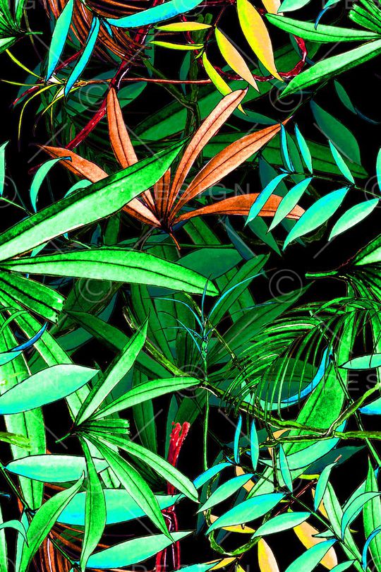 热带雨林印花华亿平台图片