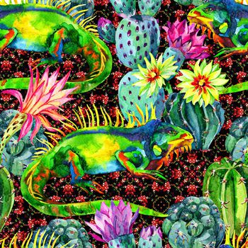 641622-仙人掌变色龙-红底