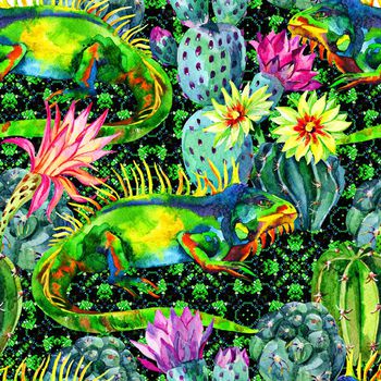 641623-仙人掌变色龙-绿底