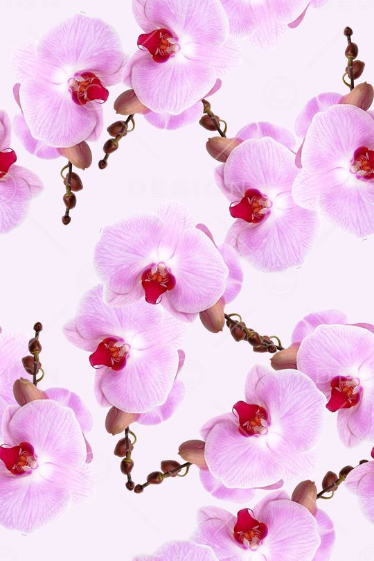 时尚抽象清爽女装裙子花卉印花印花华亿平台图片