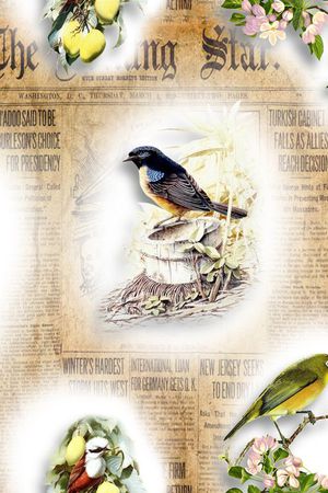 动物印花华亿平台图片