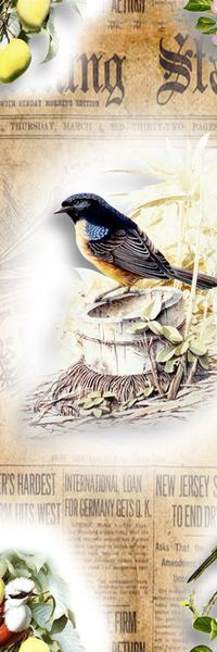 动物印花华亿平台图片