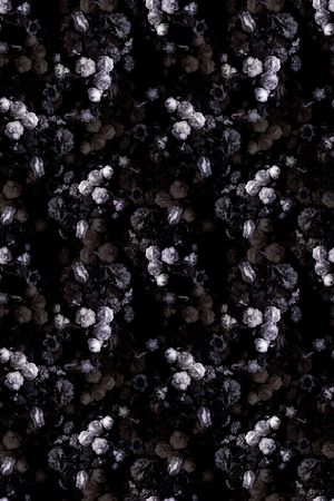 流行时尚印花华亿平台图片