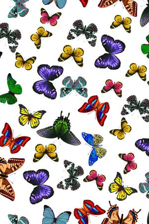 中裙印花华亿平台图片