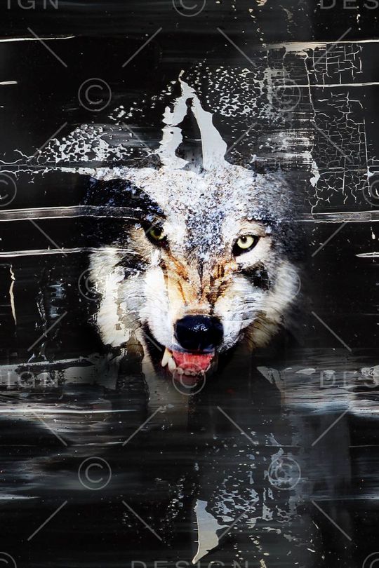 狼印花华亿平台图片