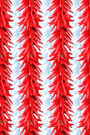 热带印花华亿平台图片