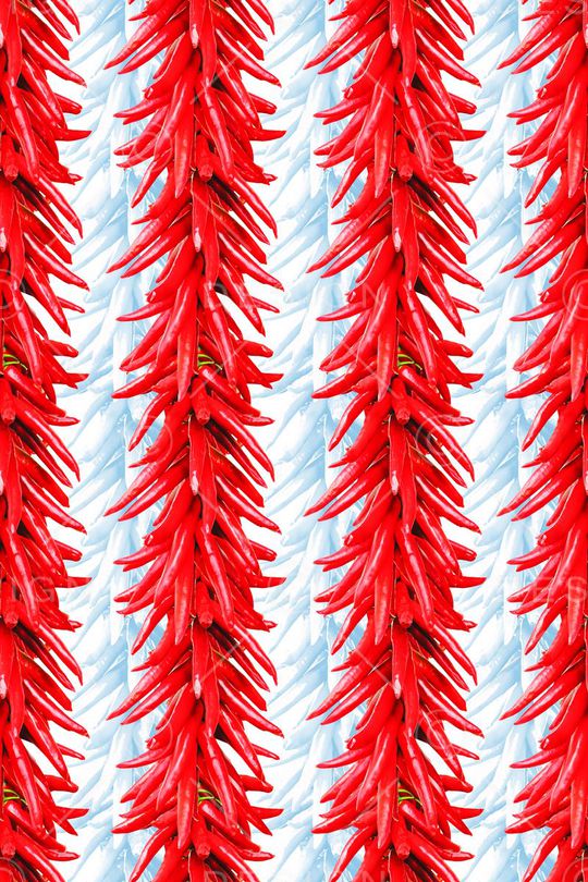 热带印花华亿平台图片