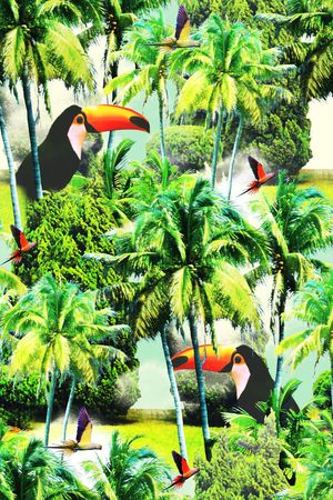 天堂鸟印花华亿平台图片