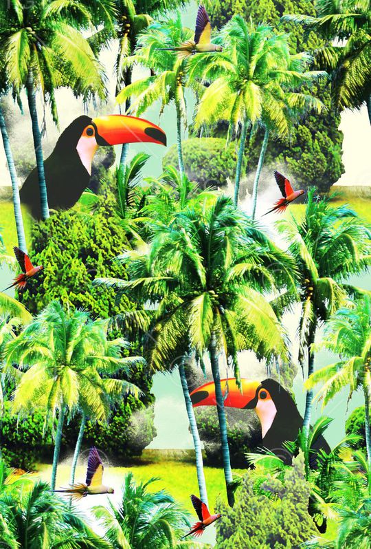 天堂鸟印花华亿平台图片