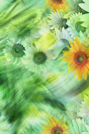 印花华亿平台图片