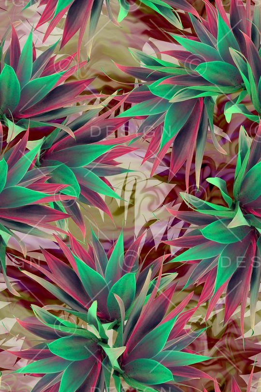 热带印花华亿平台图片