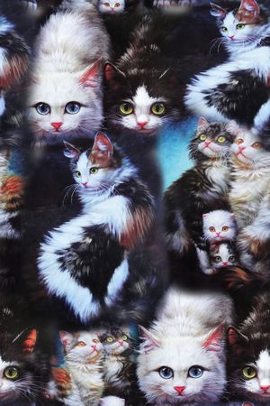 动物印花华亿平台图片