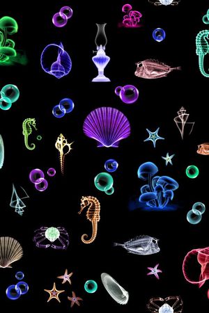 Fei-创意趣味印花华亿平台图片