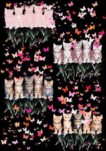 卡通印花华亿平台图片