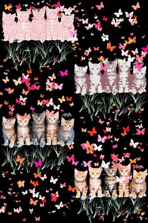 卡通印花华亿平台图片