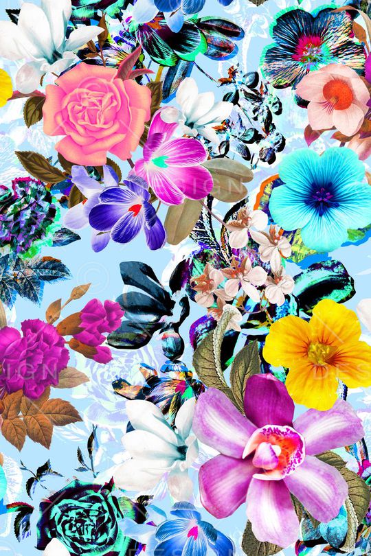 女装印花华亿平台图片