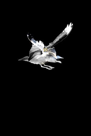 原创印花华亿平台图片