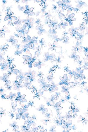 小碎花印花华亿平台图片