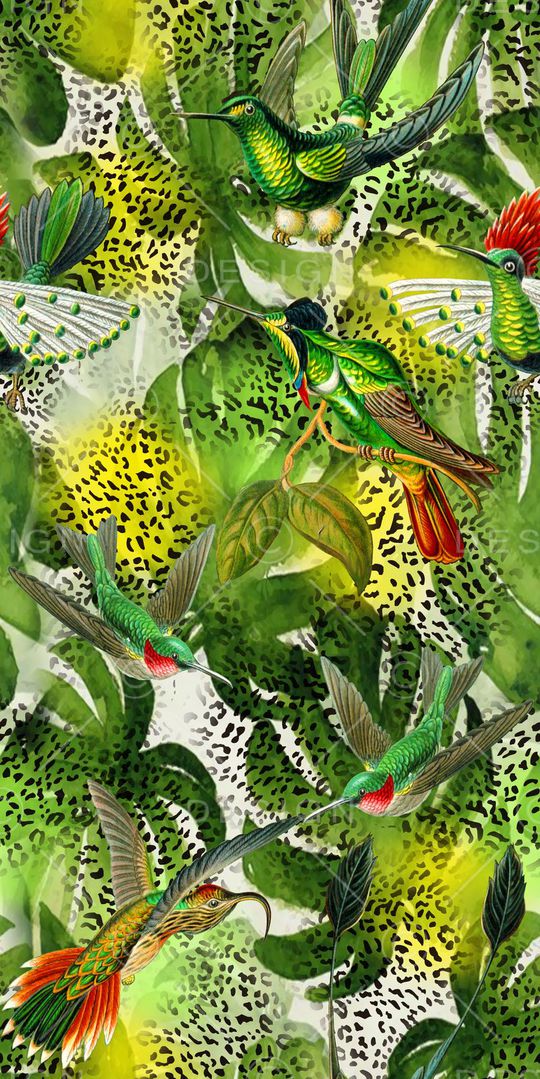 洋阳---动物纹印花华亿平台图片