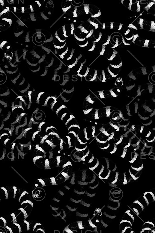 潮流男装印花华亿平台图片