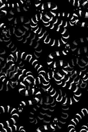 潮流男装印花华亿平台图片