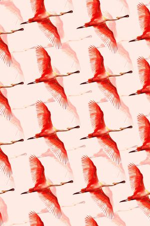 飞翔的大雁印花华亿平台图片