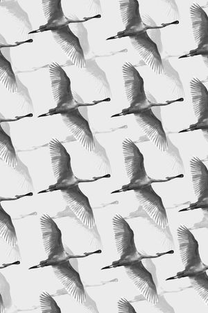 飞翔的大雁印花华亿平台图片