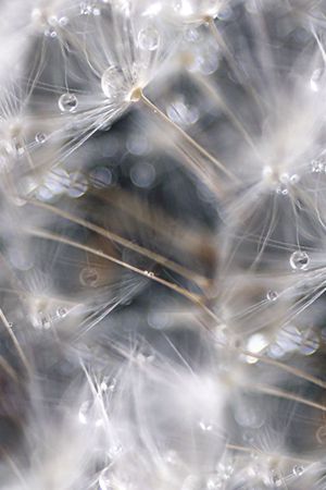 复古印花华亿平台图片