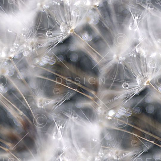 复古印花华亿平台图片