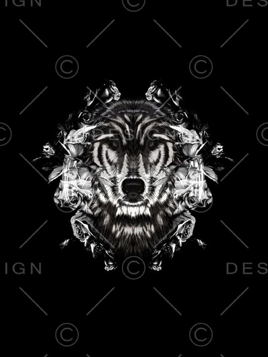 VALENTINO华伦天奴手绘狼毛感不错哦印花华亿平台图片