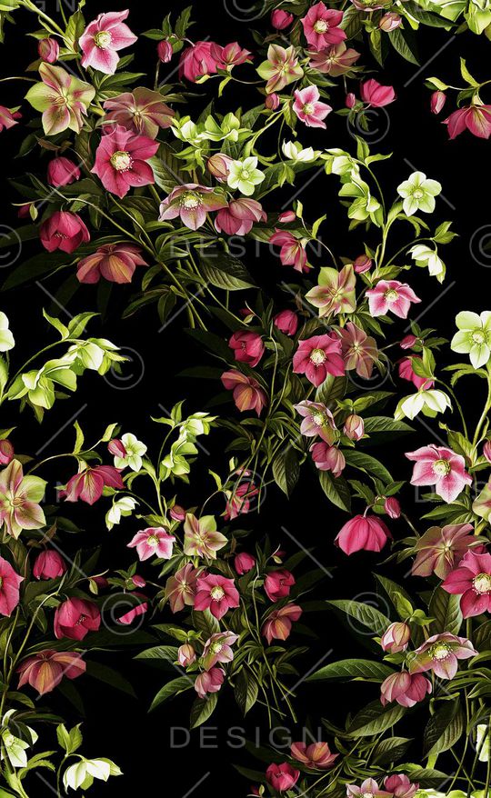 花卉秋冬款女装印花华亿平台图片