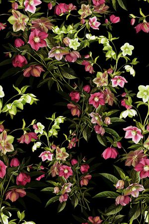 花卉秋冬款女装印花华亿平台图片