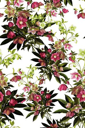 花卉秋冬款女装印花华亿平台图片