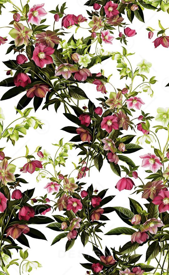 花卉秋冬款女装印花华亿平台图片