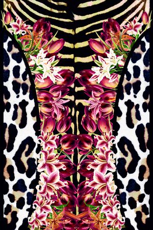 cavalli印花华亿平台图片