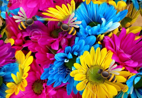 向日葵印花华亿平台图片