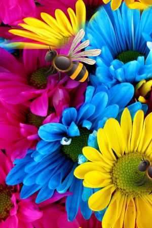 向日葵印花华亿平台图片