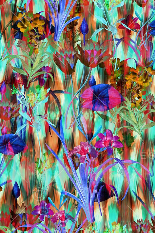 泳装印花华亿平台图片