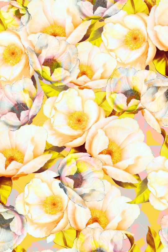 女装印花华亿平台图片