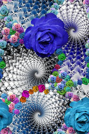 玫瑰印花华亿平台图片