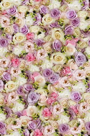 玫瑰印花华亿平台图片