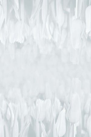 花印花华亿平台图片