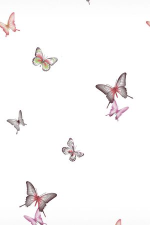 蝴蝶印花华亿平台图片