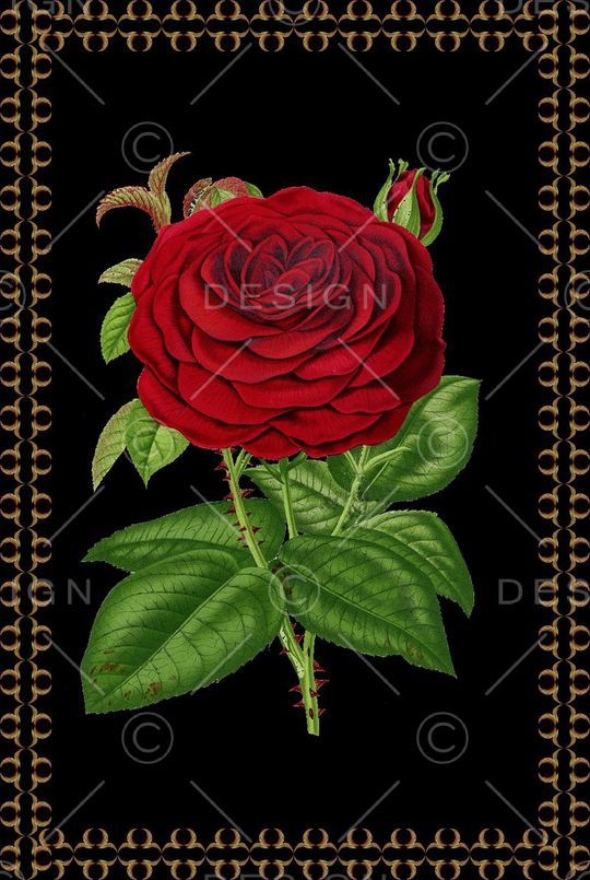 大花印花华亿平台图片