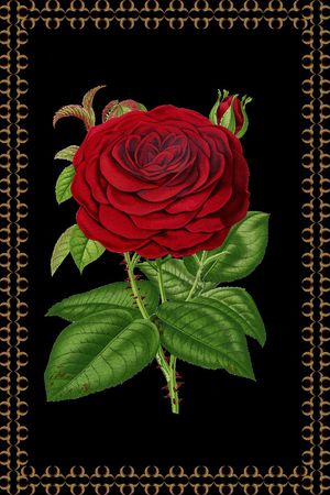 大花印花华亿平台图片