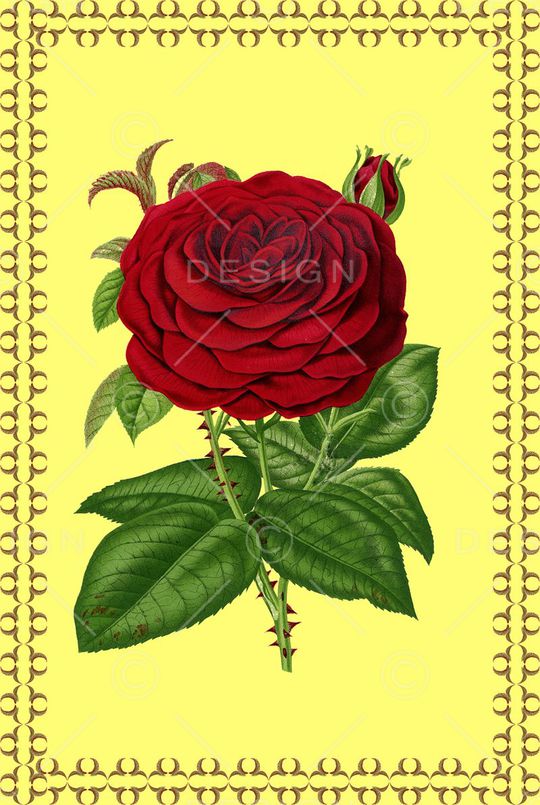 大花印花华亿平台图片