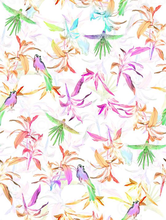 时尚清爽女装印花华亿平台图片