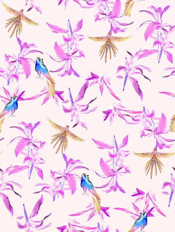 642965-巴西风热带鹦鹉植物1