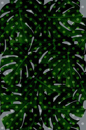 波点印花华亿平台图片