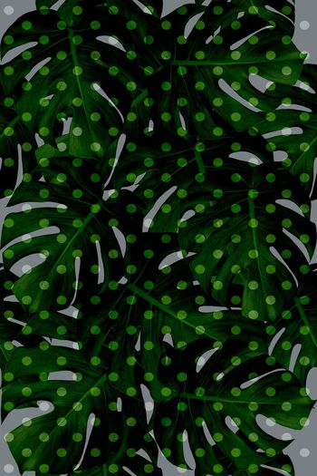 波点印花华亿平台图片